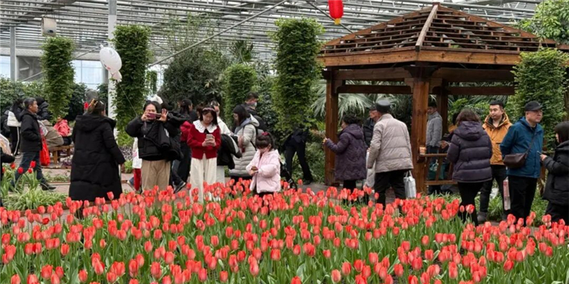 第十六届吉林（长春）冬季农博会完美收官